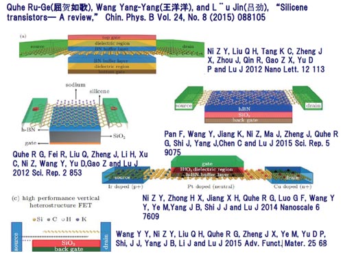 図1　中国における二次元デバイスの研究（参考資料24）