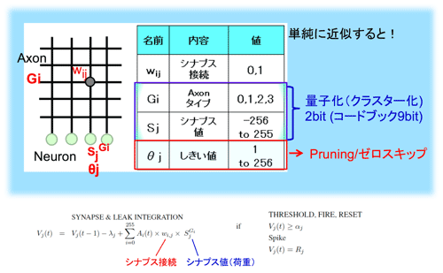 49TrueNorthα黻ʬ򰵽̤ȤǤζ