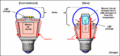 Panasonic develops wide-light-dispersion LED lamps